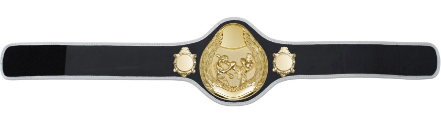 THAI BOXING CHAMPIONSHIP BELT-PRO301/G/TBOG- 10 + COLOURS THAI BOXING CHAMPIONSHIP BELT-PRO301/G/TBOG- 10 + COLOURS